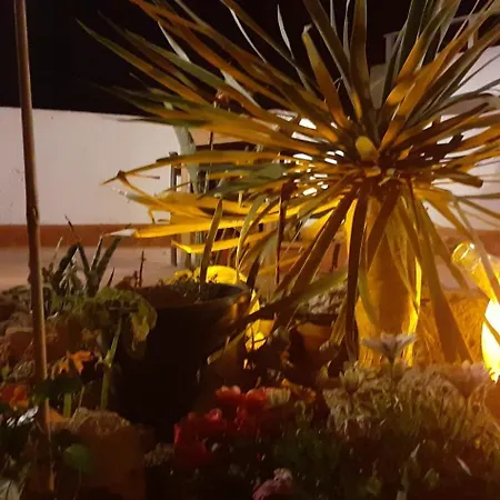 乡村民宿 El Gato Genial