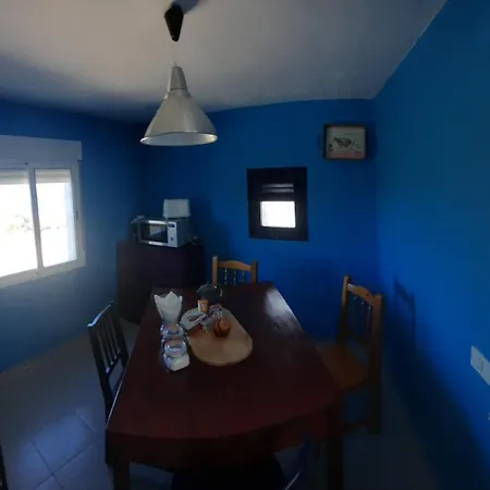 El Gato Genial * 圣克鲁斯-德特内里费