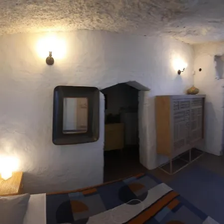 El Gato Genial * 圣克鲁斯-德特内里费