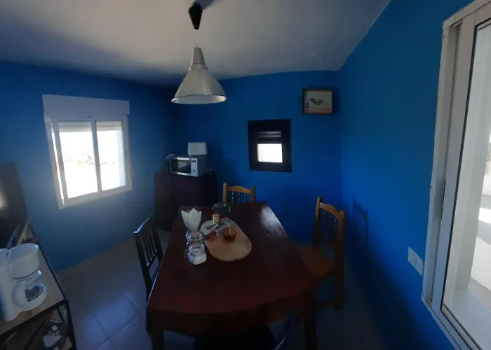 El Gato Genial * Santa Cruz de Tenerife