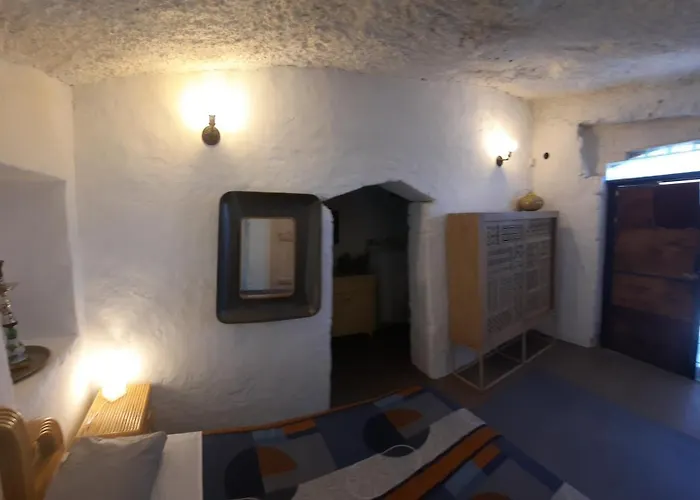 El Gato Genial * Santa Cruz de Tenerife