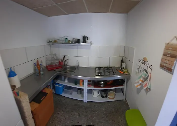 El Gato Genial Gospodarstwo wiejskie