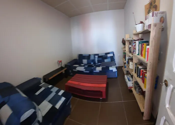 El Gato Genial Santa Cruz de Tenerife