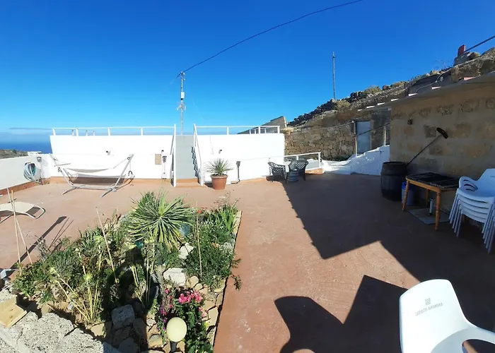 El Gato Genial サンタクルスデテネリフェ