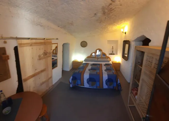 El Gato Genial サンタクルスデテネリフェ